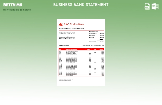 модерен стил USA BAC Флорида претпријатие изјава за Word и PDF Шаблон
